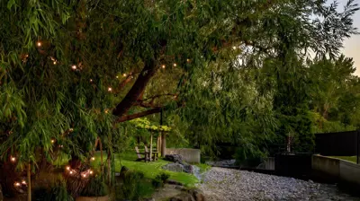 Cascading into Nature Photo